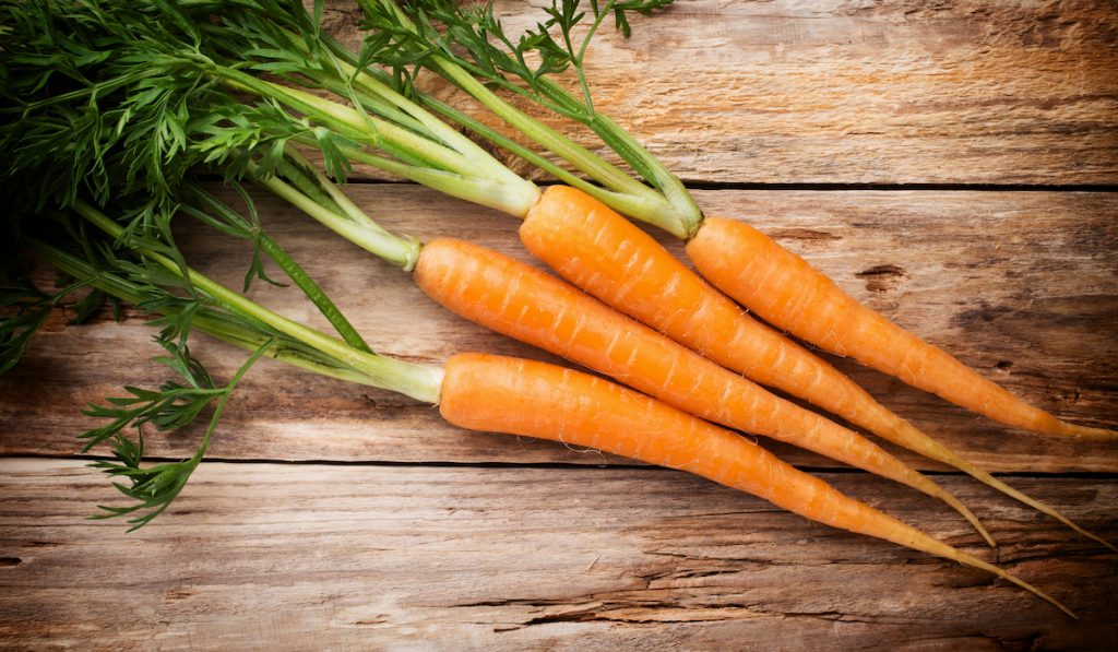 fresh slim carrots on the table