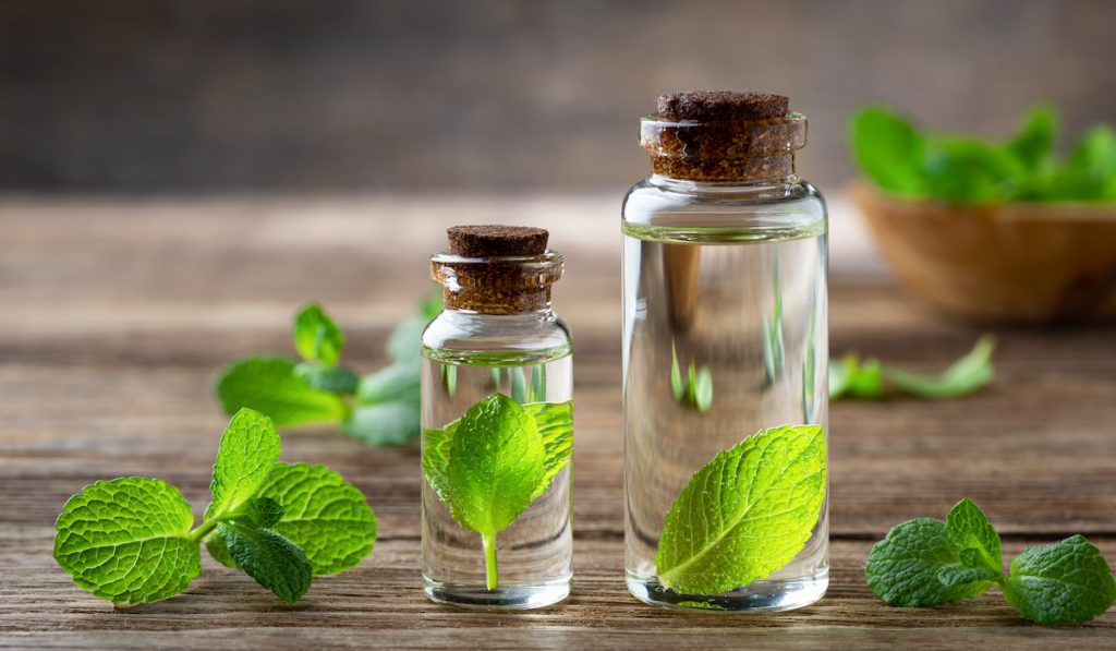 mint essential oil